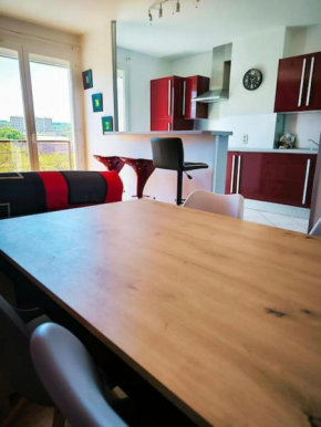 Appartement ALBI avec parking